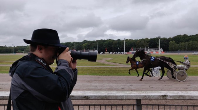 In an example of forced perspective, it seems that I am photographing tiny horses.